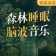 森林睡眠脑波音乐|枕着循环音乐入眠 心灵如风 重塑幸福-佚名-王某某