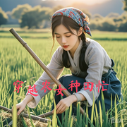 穿越农女种田忙|古言穿越宅斗虐渣-佚名-筱鱼er