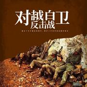 对越自卫反击战-佚名-大众听书