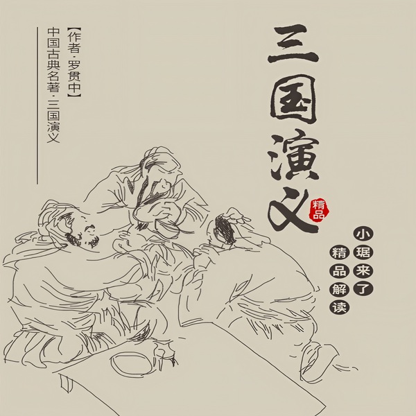 小琚精讲《三国演义》