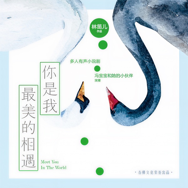 你是我最美的相遇|《纸玫瑰》作者代表作