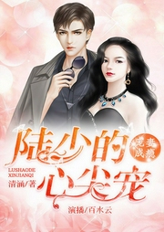宠妻成瘾：陆少的心尖宠-清涵-畅读书城