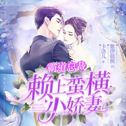 霸道总裁赖上蛮横小娇妻-佚名-紫伊晨熙