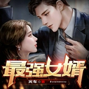 最强女婿-火车-必看小说，NJ陌白