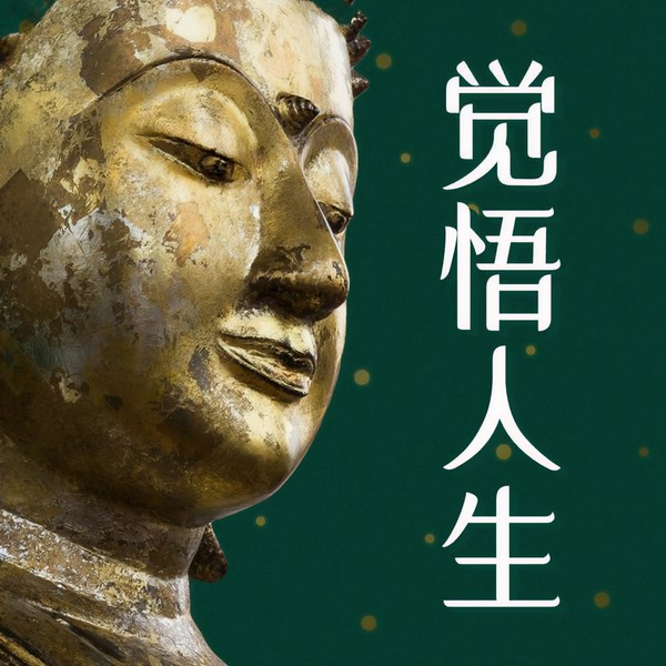 觉悟人生：500个人间清醒哲理|人生需要不断觉悟