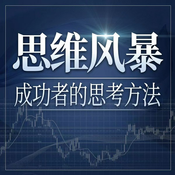 思维风暴:成功者的思考方法|思维逻辑能力 成长进阶