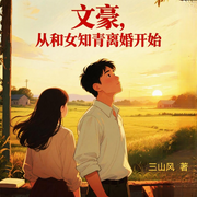 文豪，从和女知青离婚开始|年代文|重生|多播-三山风-南歌弥音