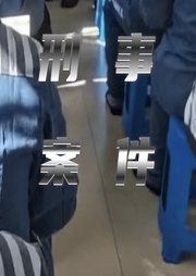 案件纪录|案件实录|刑事案件-佚名-乐多很奇怪