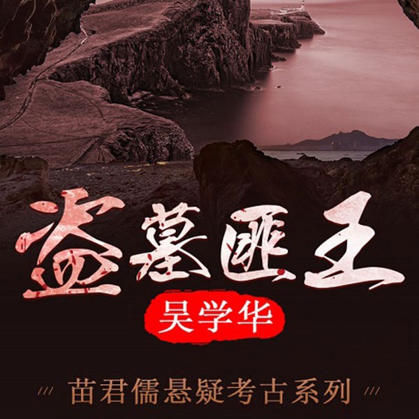 苗君儒探险系列4：盗墓匪王