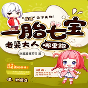 一胎七宝：老婆大人哪里跑-佚名-柳雨芳芳