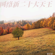 网络新二十大天王-佚名-胡文堃