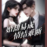 婚劫易成情结难断-佚名-懒懒的小小