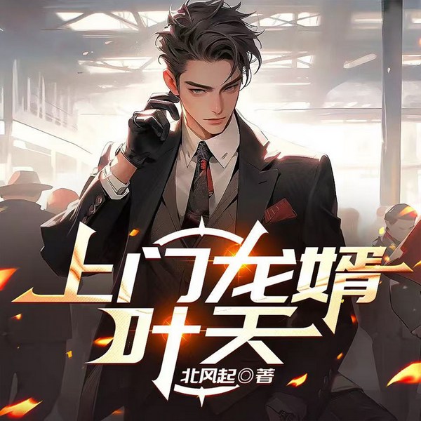 上门龙婿叶天|都市异能爽文