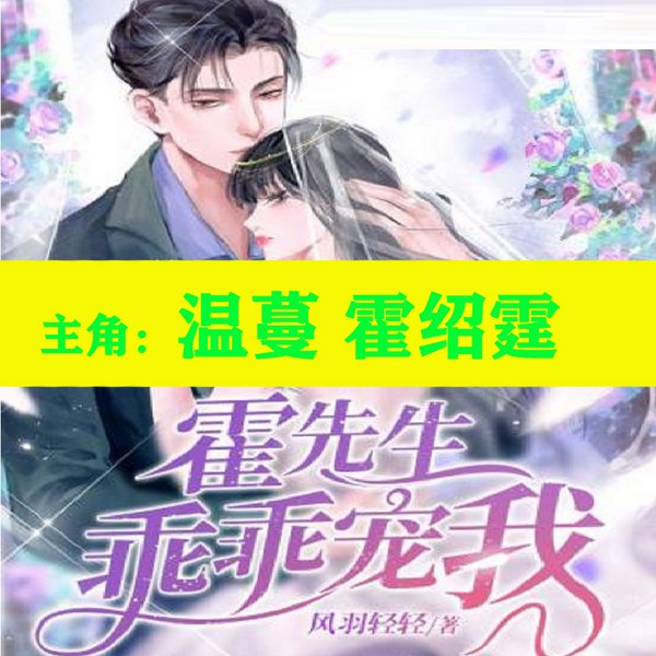 温蔓与霍绍霆的小说免费阅读全文|霍先生乖乖宠我
