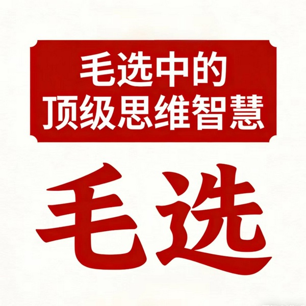 毛选|中的顶级思维智慧|破局|开悟|成事