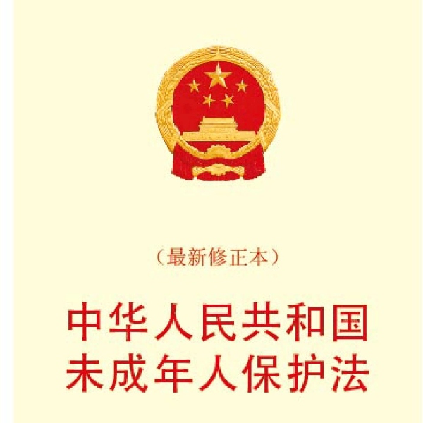 《中华人民共和国未成年人保护法》通读
