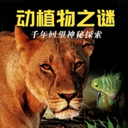 未解之谜：动植物之谜|探索发现｜绝密档案｜恐怖灵异｜超自然-王顺义-主播中广影音