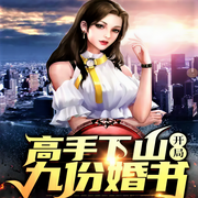 高手下山开局九封婚书-佚名-锅巴男孩