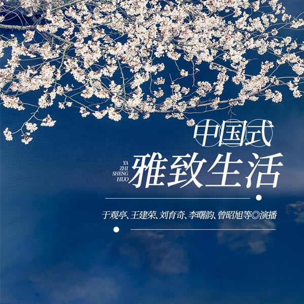 中国式雅致生活