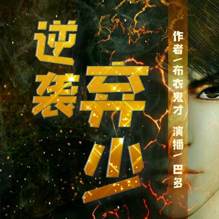 逆袭弃少|精品免费多播|重生|异能|爽文-佚名-巴多