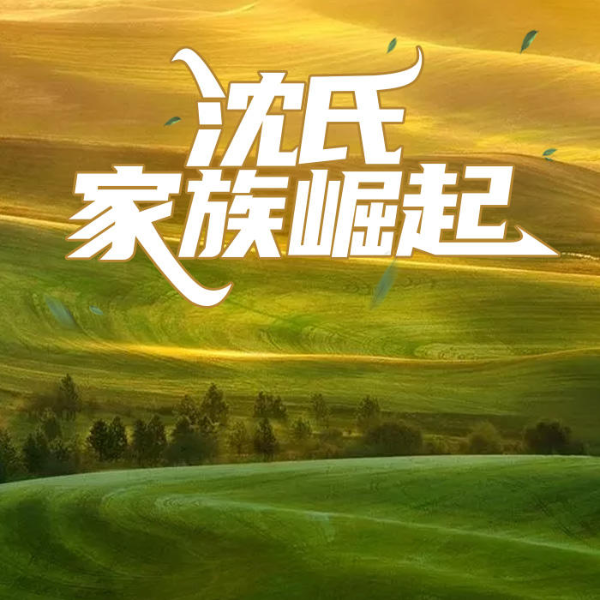 沈氏家族崛起