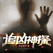 追凶神探|刑侦推理-佚名-主播小志有声