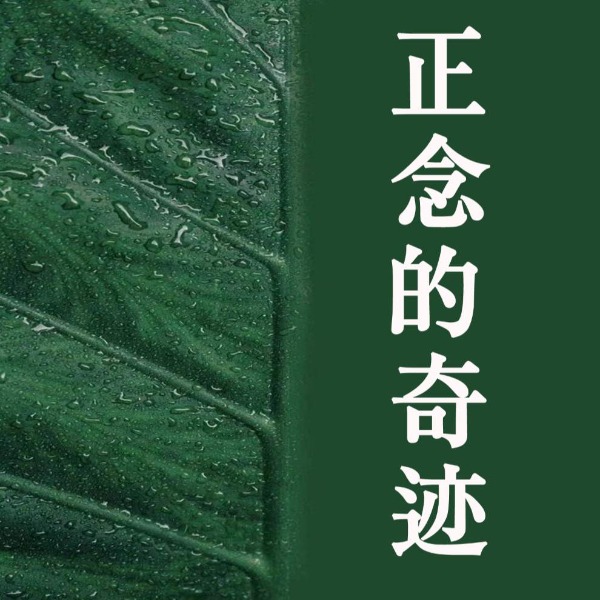 正念的奇迹