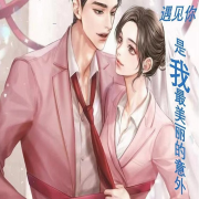 遇见你是我最美丽的意外--酸甜微风-