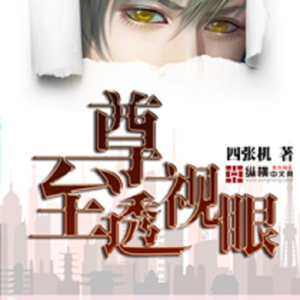 至尊透视眼