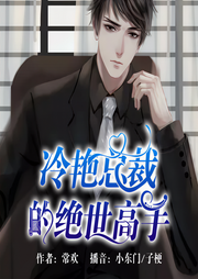 冷艳总裁的绝世高手-佚名-果维文化