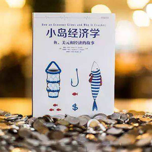 小岛经济学最易读的经济学入门读物