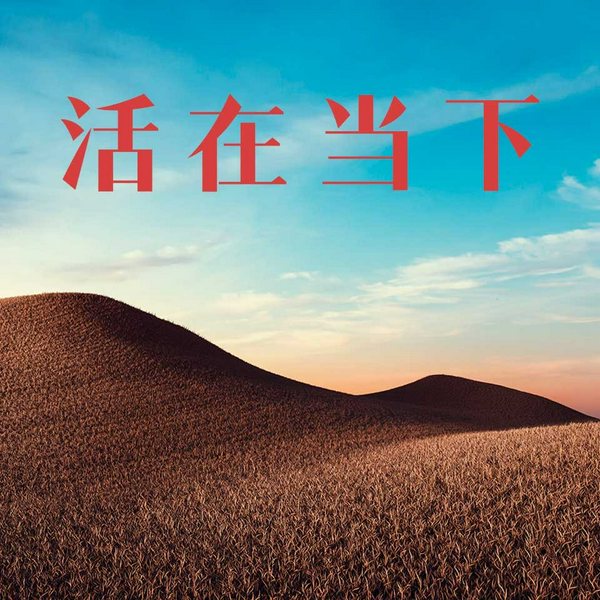 活在当下|纳时的风景演播