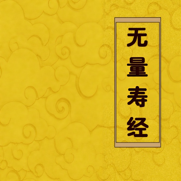 无量寿经|佛经诵读|经书|传统文化|哲学思考