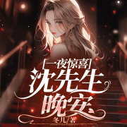 一夜驚喜：沈先生，晚安-冬兒-點眾聽書