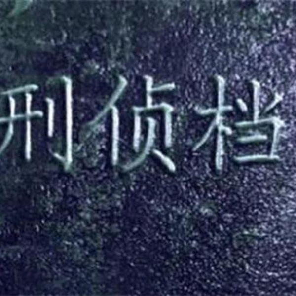 中国刑侦故事会