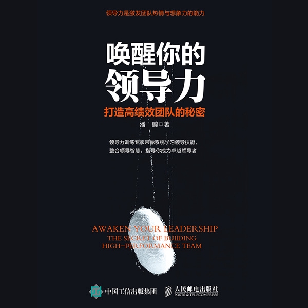 唤醒你的领导力:打造高绩效团队的秘密