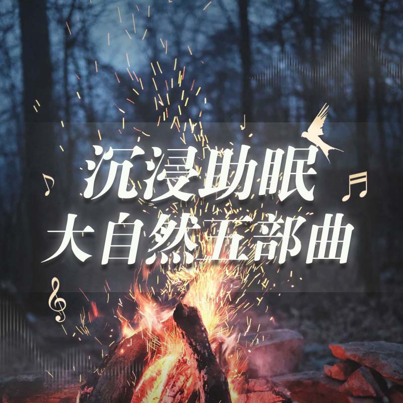 【沉浸助眠】大自然五部曲-篝火炊烟