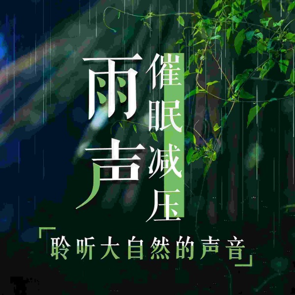 雨声催眠 助眠 减压|聆听大自然的声音|白噪音