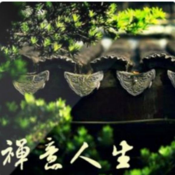 禅意人生