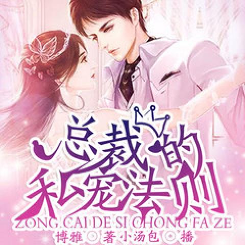 总裁大人的私宠守则|现言|豪门契约|名门甜宠|闪婚总裁|虐恋----中广影音，小汤包