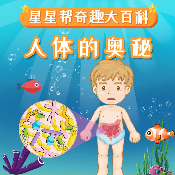 探秘神奇世界之人体的奥秘|少儿知识学堂