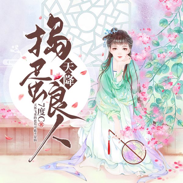 天降捣蛋良人