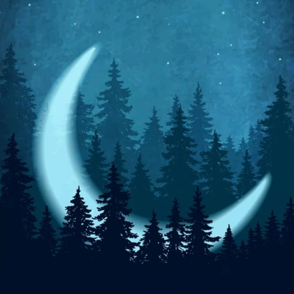 大自然的馈赠|白噪音助眠音乐