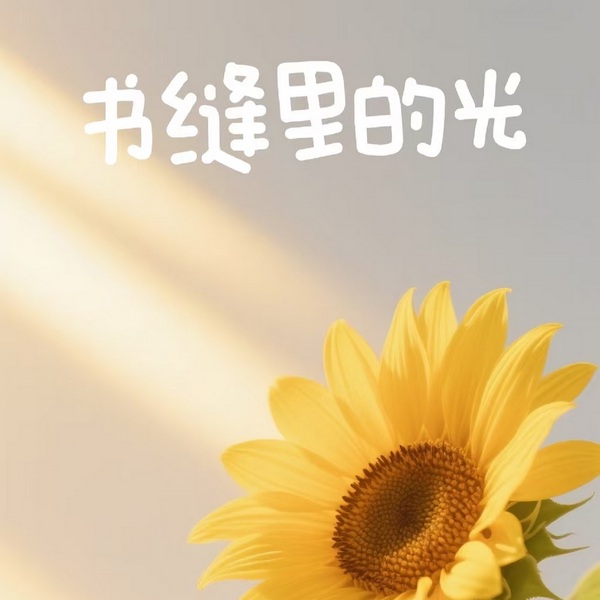 书缝里的光|治愈书单