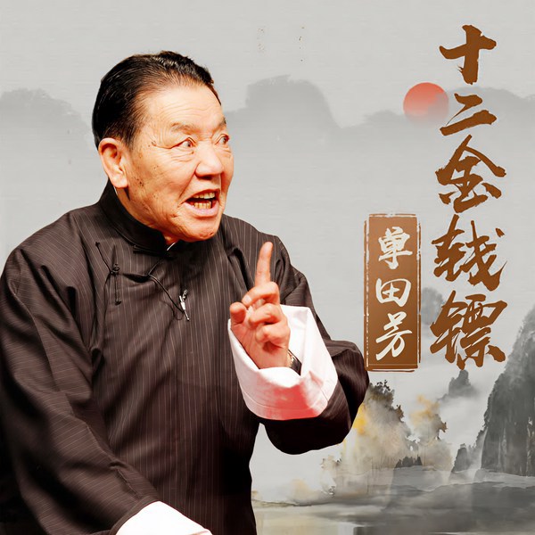 单田芳：十二金钱镖