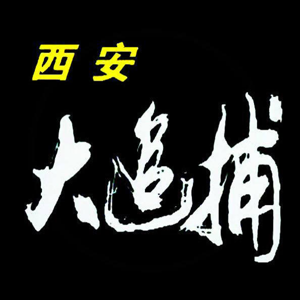 西安大追捕:魏振海覆灭记