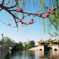 扬州-瘦西湖-佚名-恋景学院