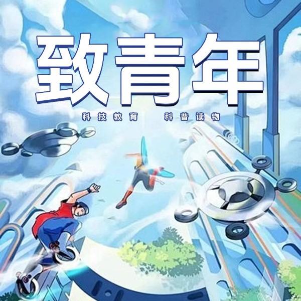 致青年