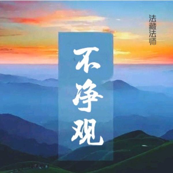 观身不净
