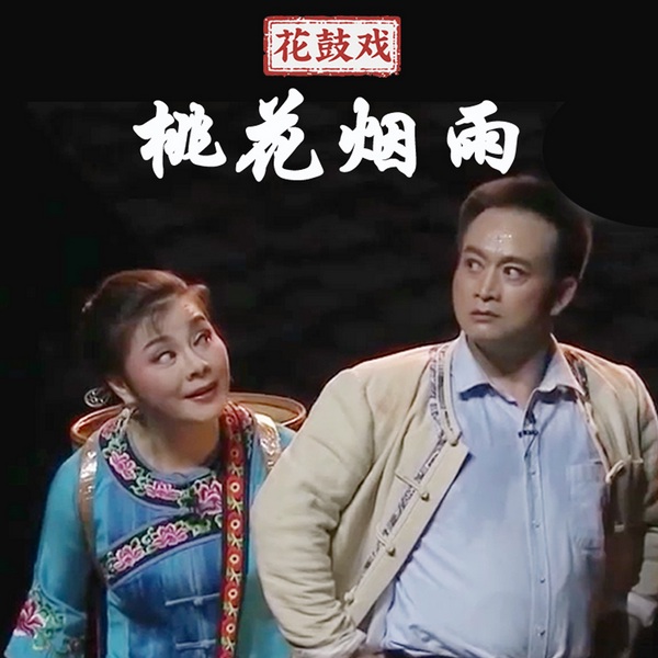 花鼓戏《桃花烟雨》|王亦文|黄涓涓|张小虎